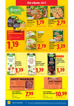 Lidl kataloška akcija