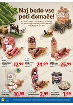 Lidl redni katalog