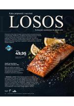 Bingo magazin +