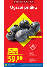Lidl katalog akcija