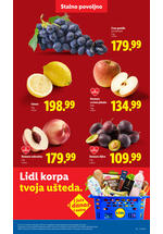Lidl katalog akcija