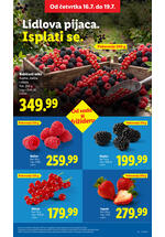 Lidl katalog akcija