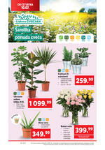 Lidl katalog akcija