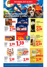 Lidl kataloška akcija
