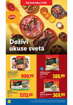Lidl katalog akcija