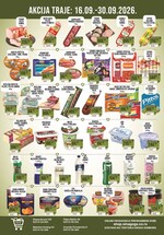 Sinagoga katalog akcija
