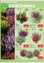 Kaufland katalog - Online ponuda