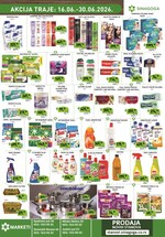 Sinagoga katalog akcija