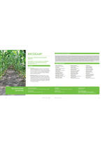 Adama katalog