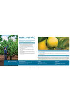 Adama katalog