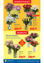Lidl katalog akcija