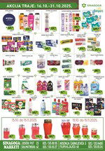 Sinagoga katalog akcija