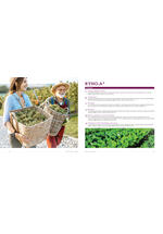 Adama katalog