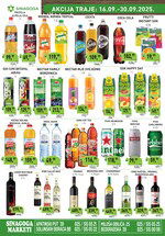 Sinagoga katalog akcija