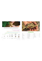 Adama katalog