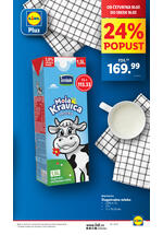 Lidl katalog akcija