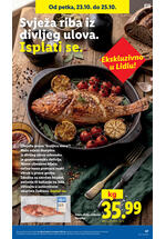 Lidl katalog - Tjedna akcija