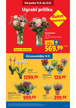 Lidl katalog akcija
