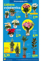 Lidl kataloška akcija