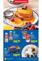 Lidl katalog akcija