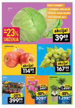Idea katalog nedeljna akcija