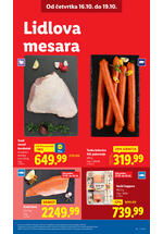 Lidl katalog akcija