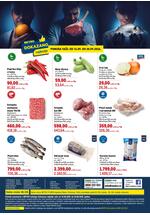 Katalog dokazano
