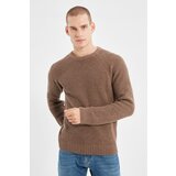Trendyol Brown Men's Crew Collar Raglan Sleeve Knitwear Sweater Cene