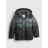 GAP Children's Winter Quilted Jacket | shoptok.hr