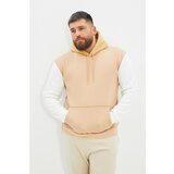 Trendyol Beige Men's Panel Hooded Regular Sweatshirt Cene
