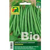 AUSTROSAAT bio grmičasti fižol "Domino" Cene
