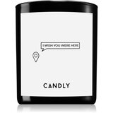 Candly & Co. I wish you were here mirisna svijeća 250 g | shoptok.hr