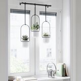 Umbra CVETLIČNI LONČEK | Shoptok.si