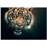  Tapeta - Bengal Tiger 300x231 | shoptok.hr