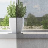 Voile zavjese s ušicama 2 kom tamnosive 140x225 cm | Shoptok.si