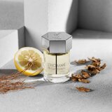 Yves Saint Laurent L´Homme toaletna voda 60 ml za moške | Shoptok.si