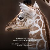 Chantecaille Luminescent Eye Shades biserna senčila za oči Giraffe 2.5 g | Shoptok.si