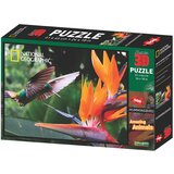 National Geographic super 3D Puzzle Kolibri 500 delova Cene