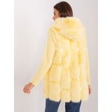 Wool Fashion Italia Vest-AT-KZ-2379.96P-Light Yellow | Shoptok.si