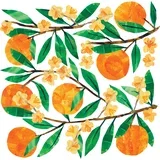 Tracey´s Orangina Napkin - 33 x 33 cm