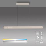 SCHÖNER WOHNEN 12577-39 - led prigušiva luster na sajli adriana 2xLED/24W/230V siva | Eponuda.com