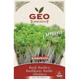 Bavicchi Bio kalčki "bazilika" - 10 g Cene