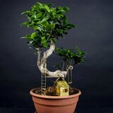 Botanopia Mini hišica na drevesu za rastline Cene
