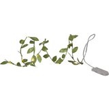 Star Trading Zelena LED svetlobna veriga Leaf, dolžina 95 cm | Shoptok.si