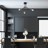  Viraj 10875 Privjesak, E27, 3x15W, IP20, Crna | Eponuda.ba