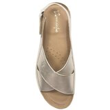 Maciejka 0099464005 Gold | shoptok.hr
