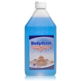 Sani-hem Sredstvo za dezinfekciju Bodyderm, 1l Cene