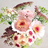 Jora Dahl Wild Bouquet "Pink Caramel Collection" Cene