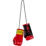 Benlee Lonsdale Miniature boxing gloves Cijene