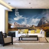  Tapeta - Bird cloud 450x270 Cijene